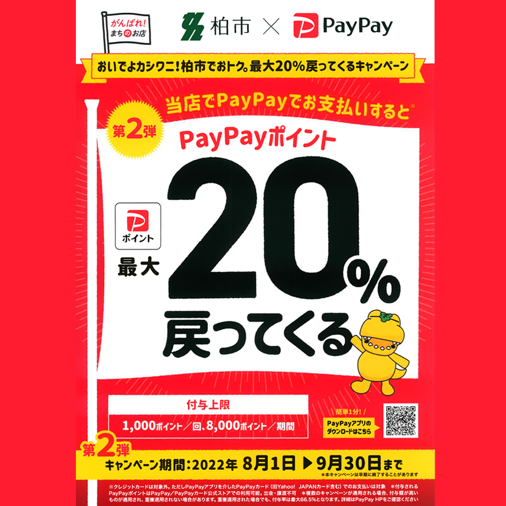 Paypayキャンペーン