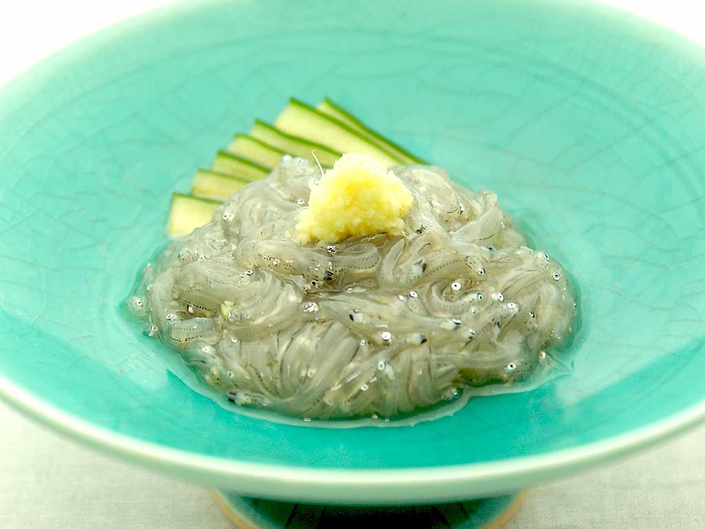 4月の旬魚 魚一商店 魚七鮮魚店